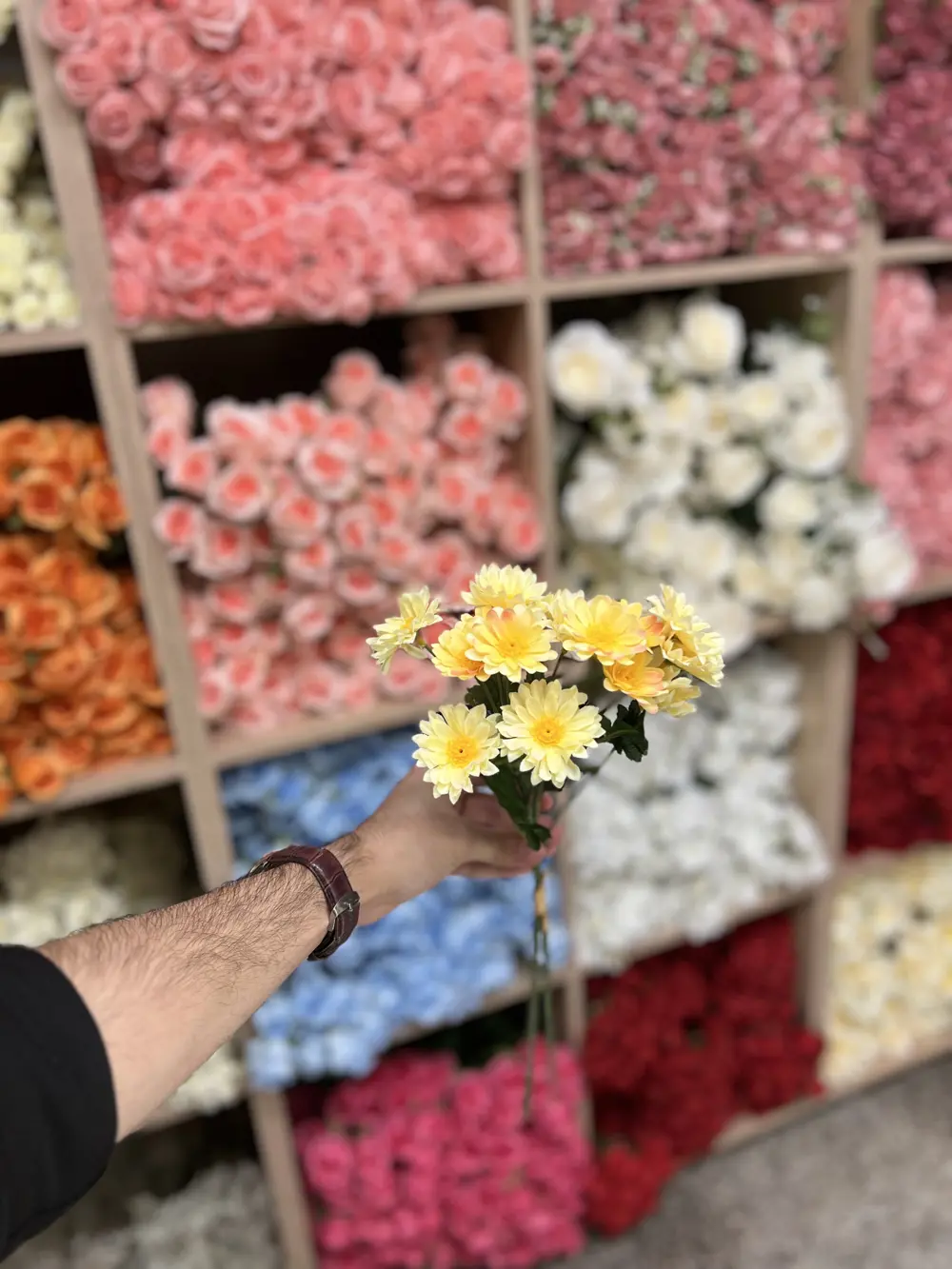 بابونك صغير اصفر