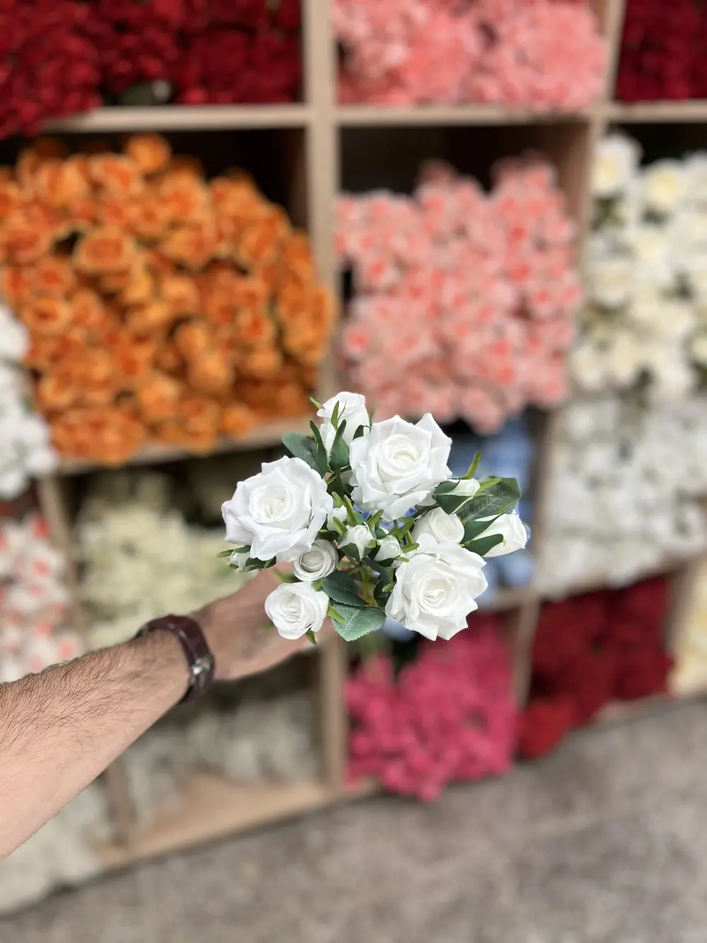 بيبي روز ٣ غصن  ابيض ناصع 