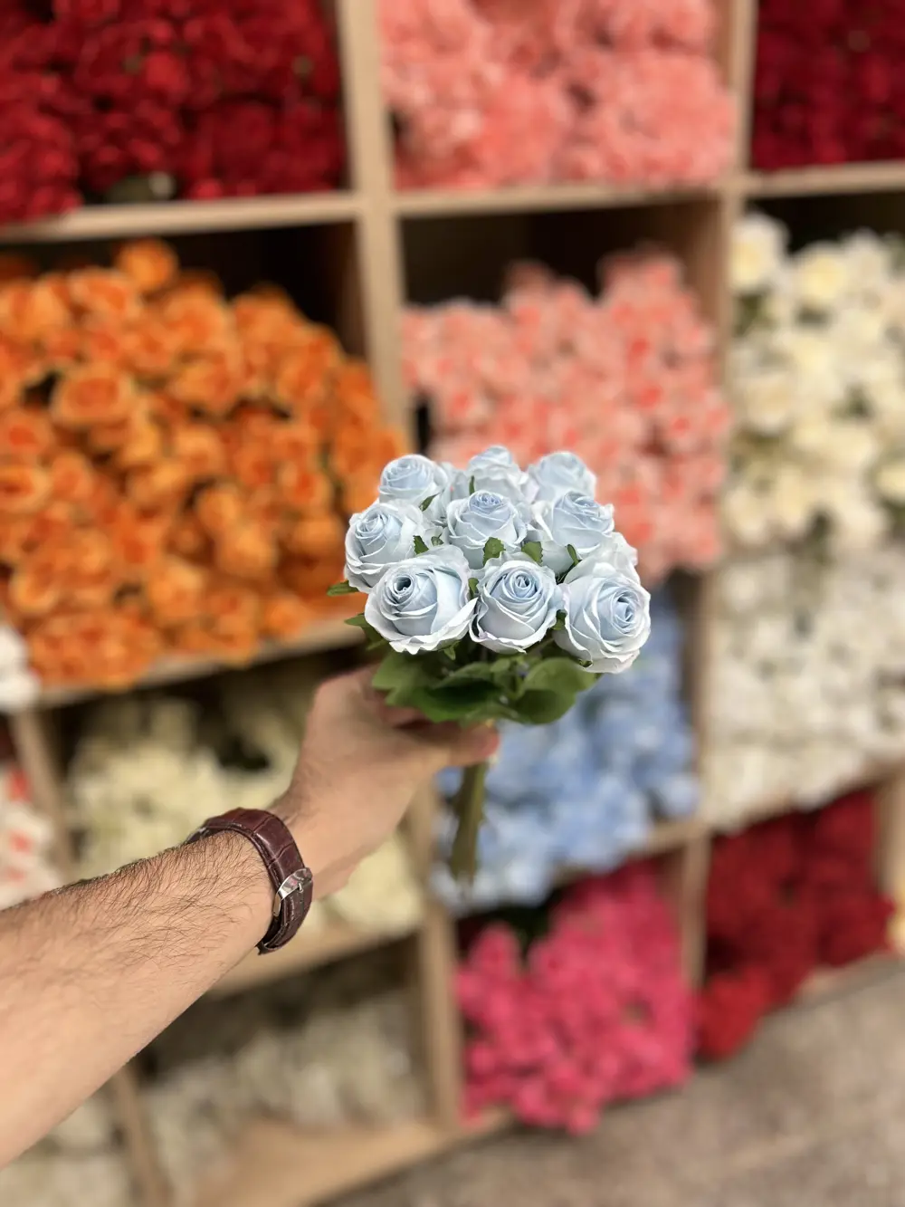 بيبي روز ٩ ورده سمائي