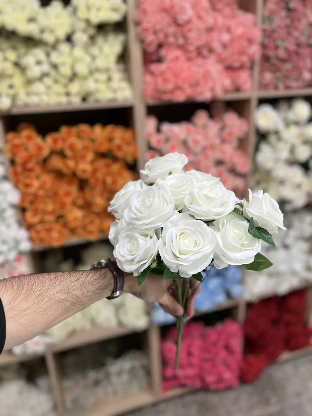 جوري 13 وردة اوف وايت