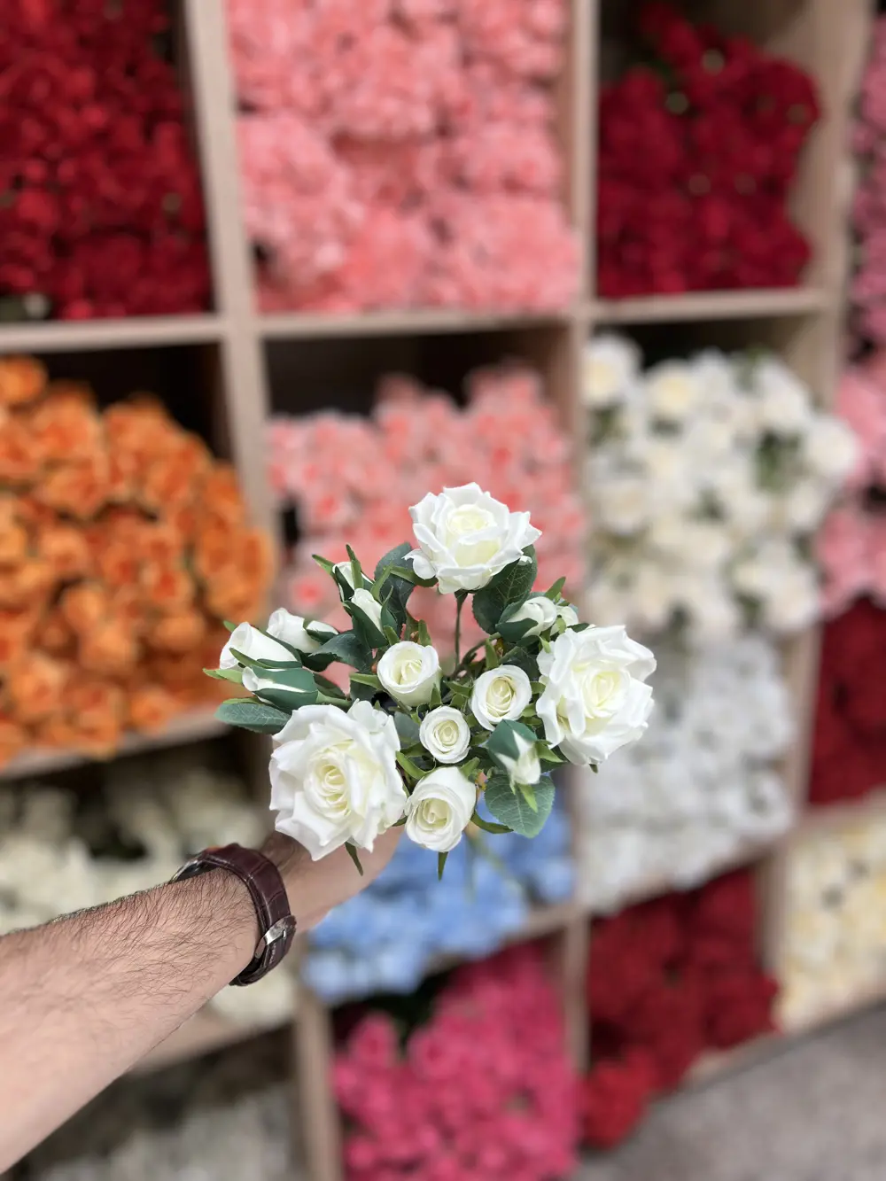 بيبي روز ٣ غصن اوف وايت 