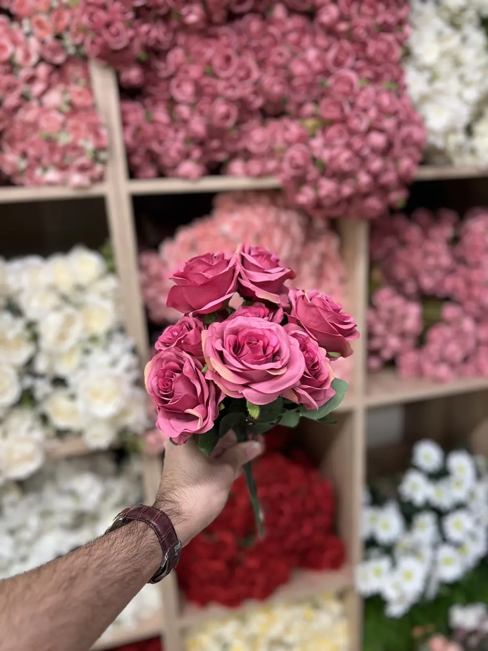جوري 10 وردة فوشي
