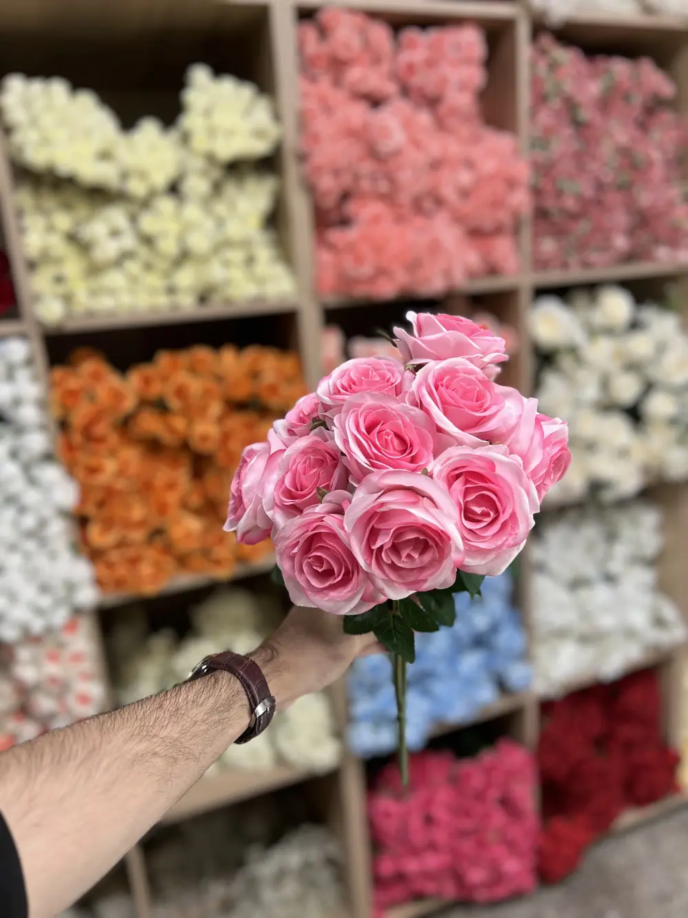 جوري 13 وردة وردي