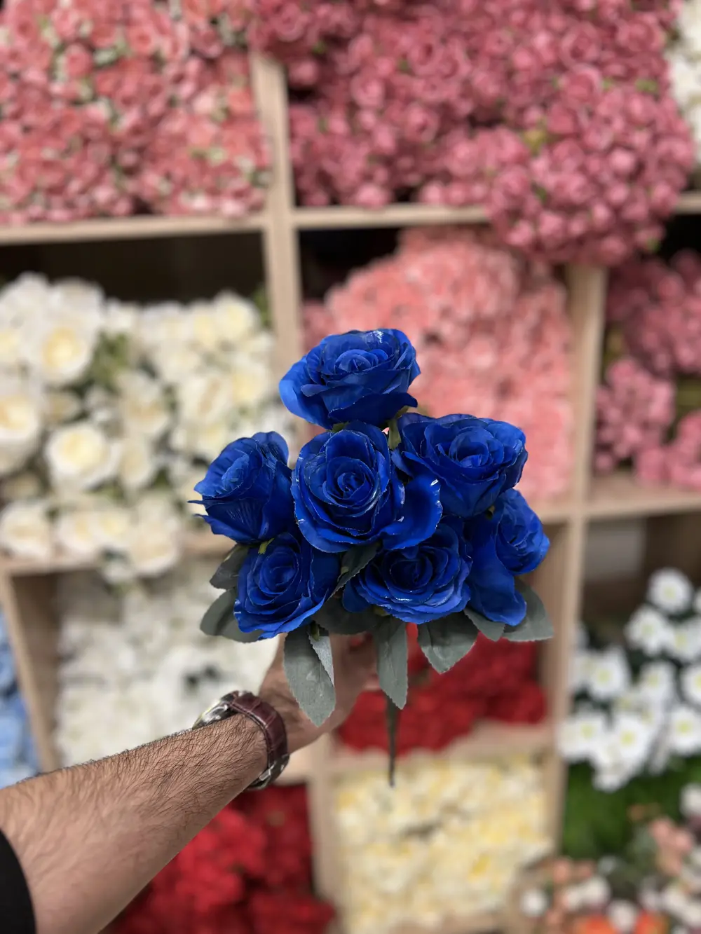 جوري ٩ وردة چويتي