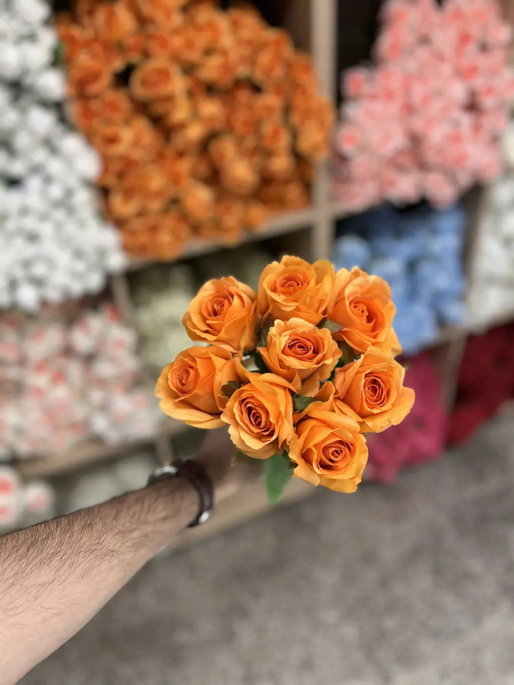 جوري صونده ٨ ورده برتقالي