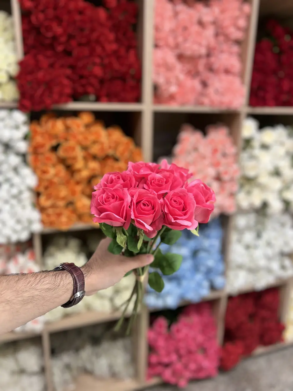 جوري صونده ٨ ورده فوشي