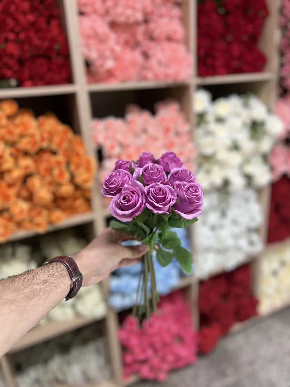 بيبي روز ٩ ورده بنفسجي 