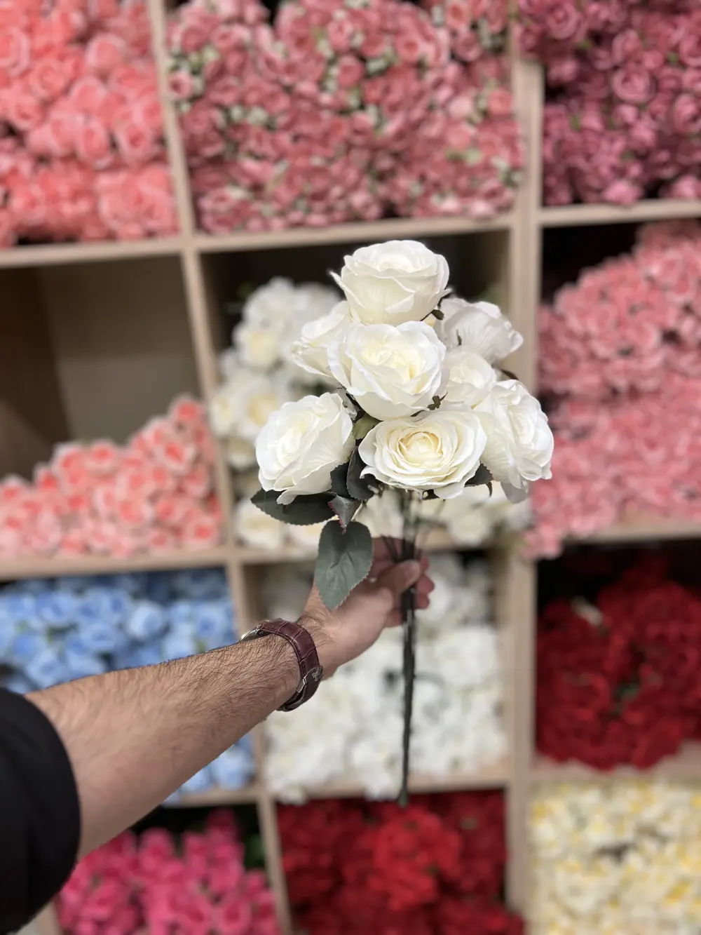 جوري ٩ وردة اوف وايت