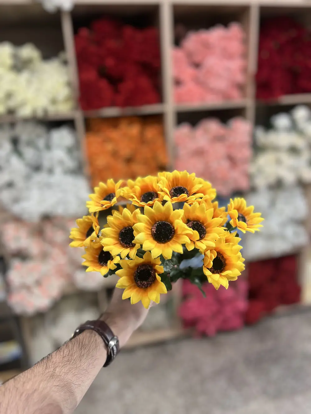 عباد الشمس