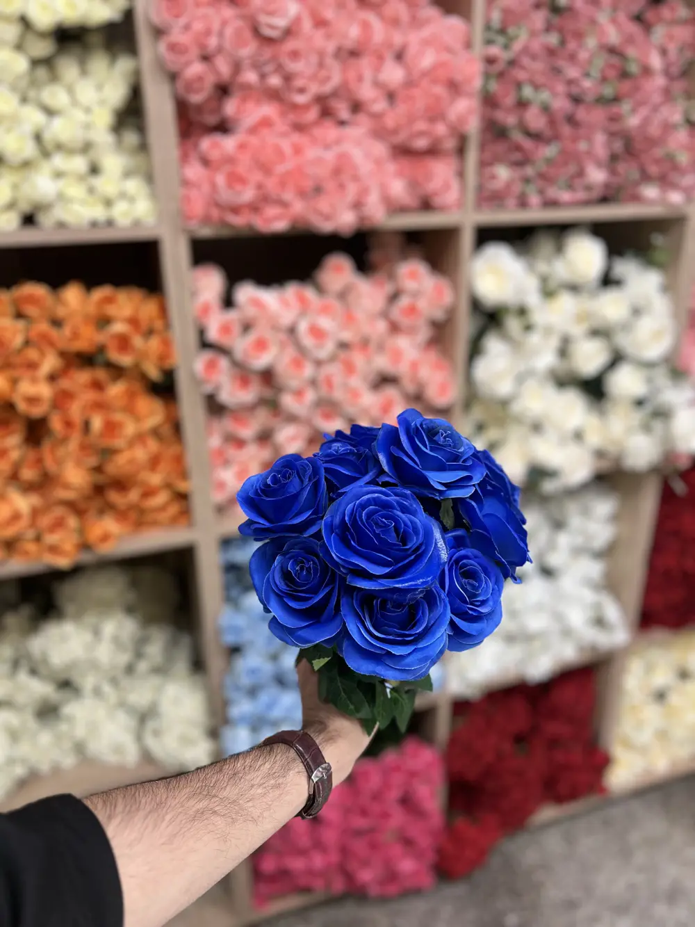 جوري 13 وردة چويتي