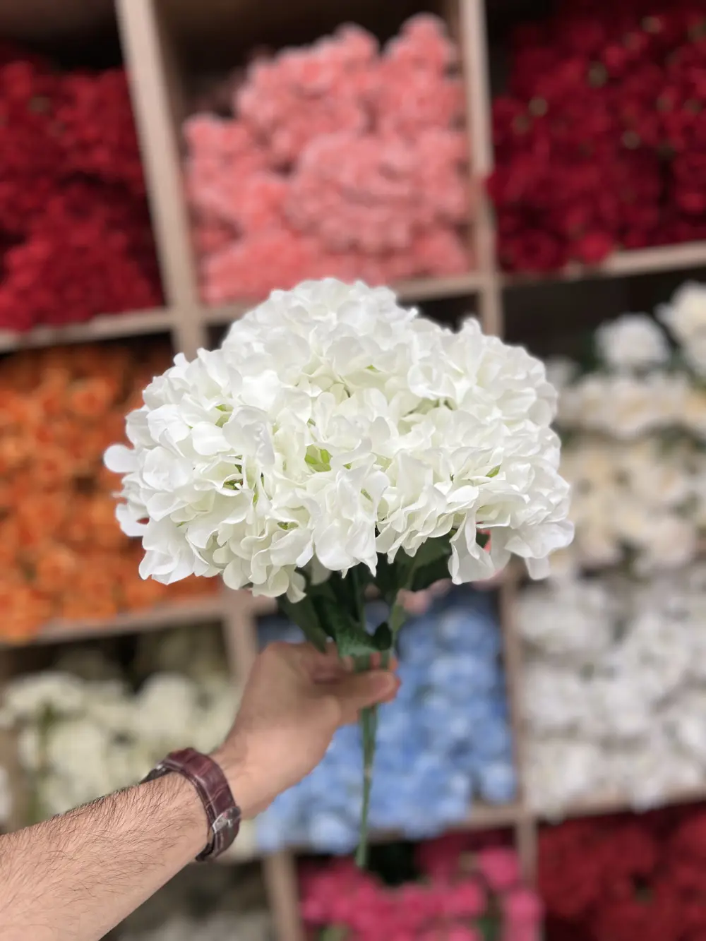 قرطاس اوف وايت