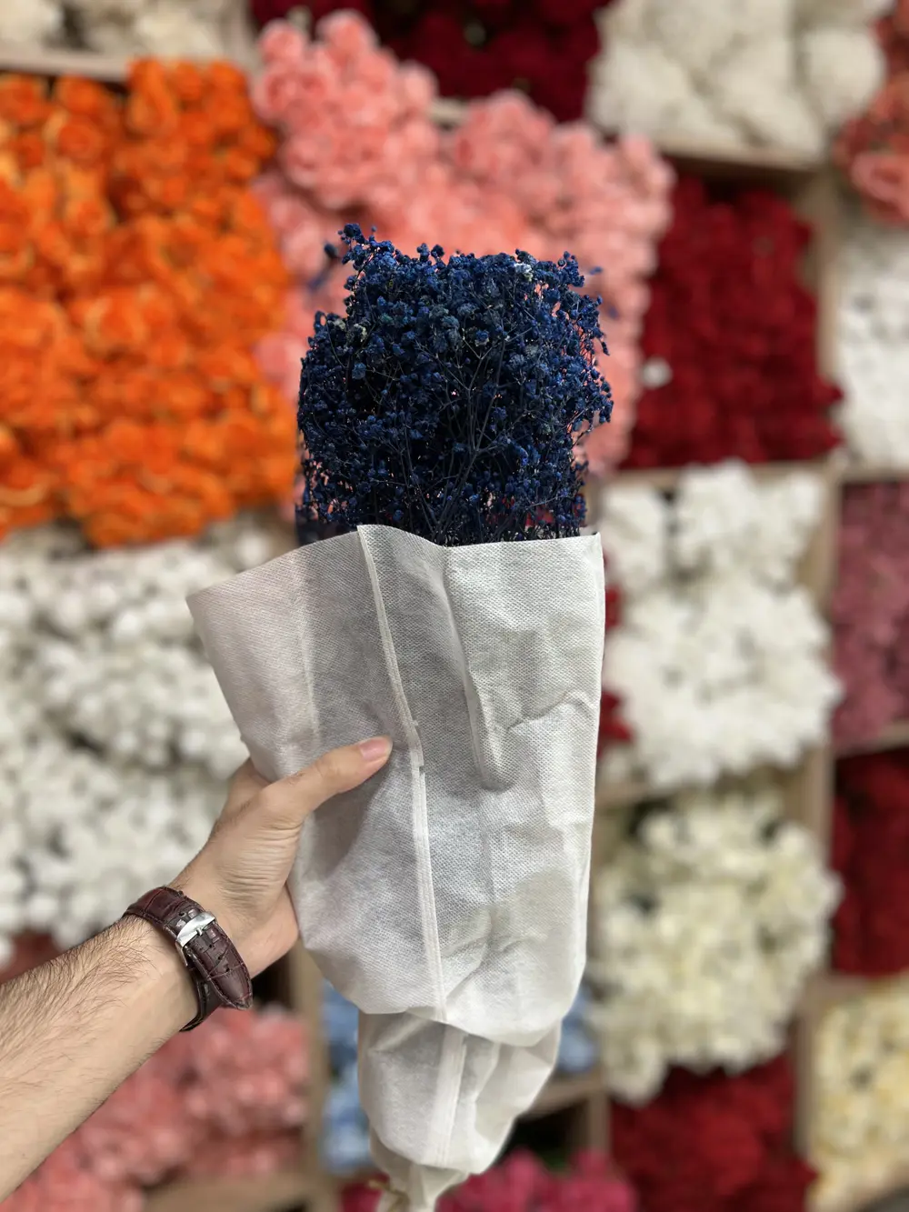 جبسوفيل طبيعي مجفف 120 غرام / ازرق
