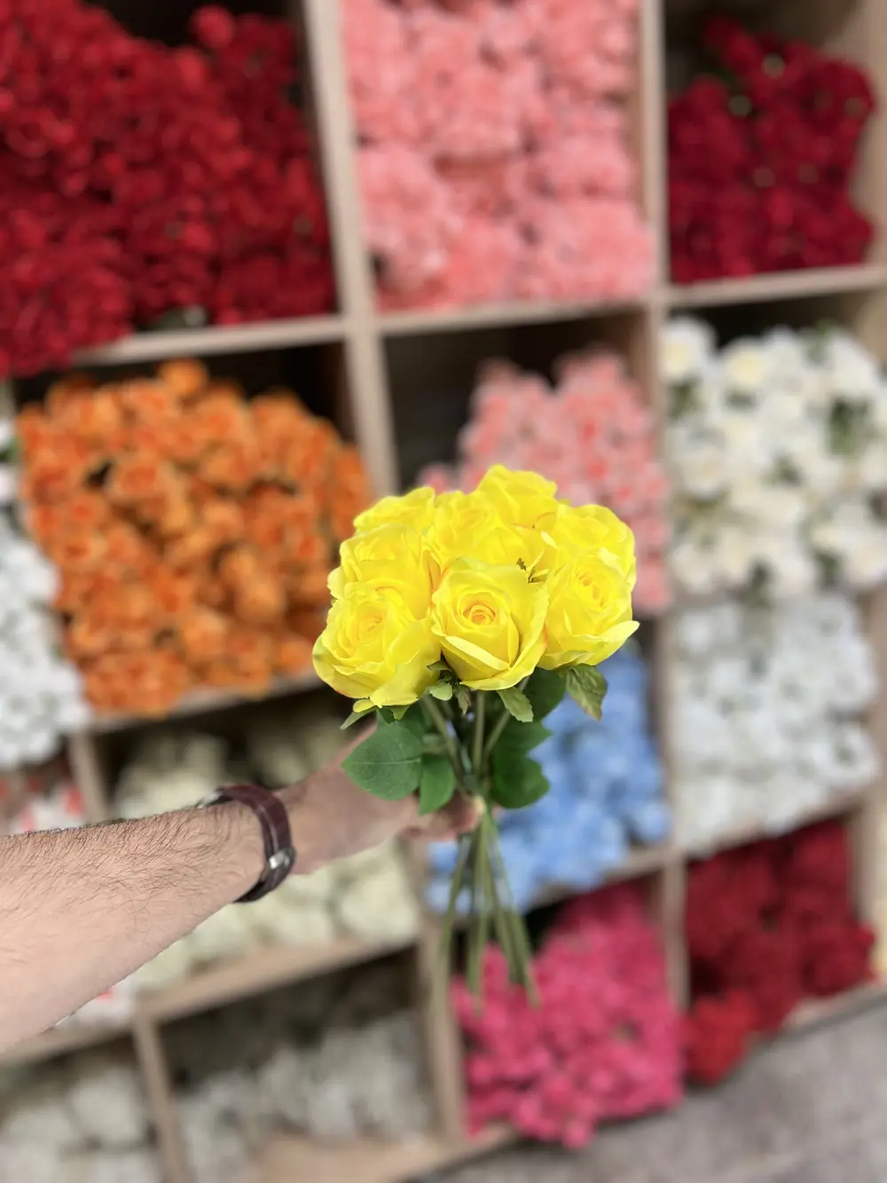 جوري صونده ٨ ورده  اصفر