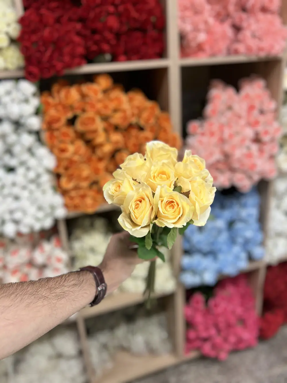 جوري صونده ٨ ورده  بصلي فاتح