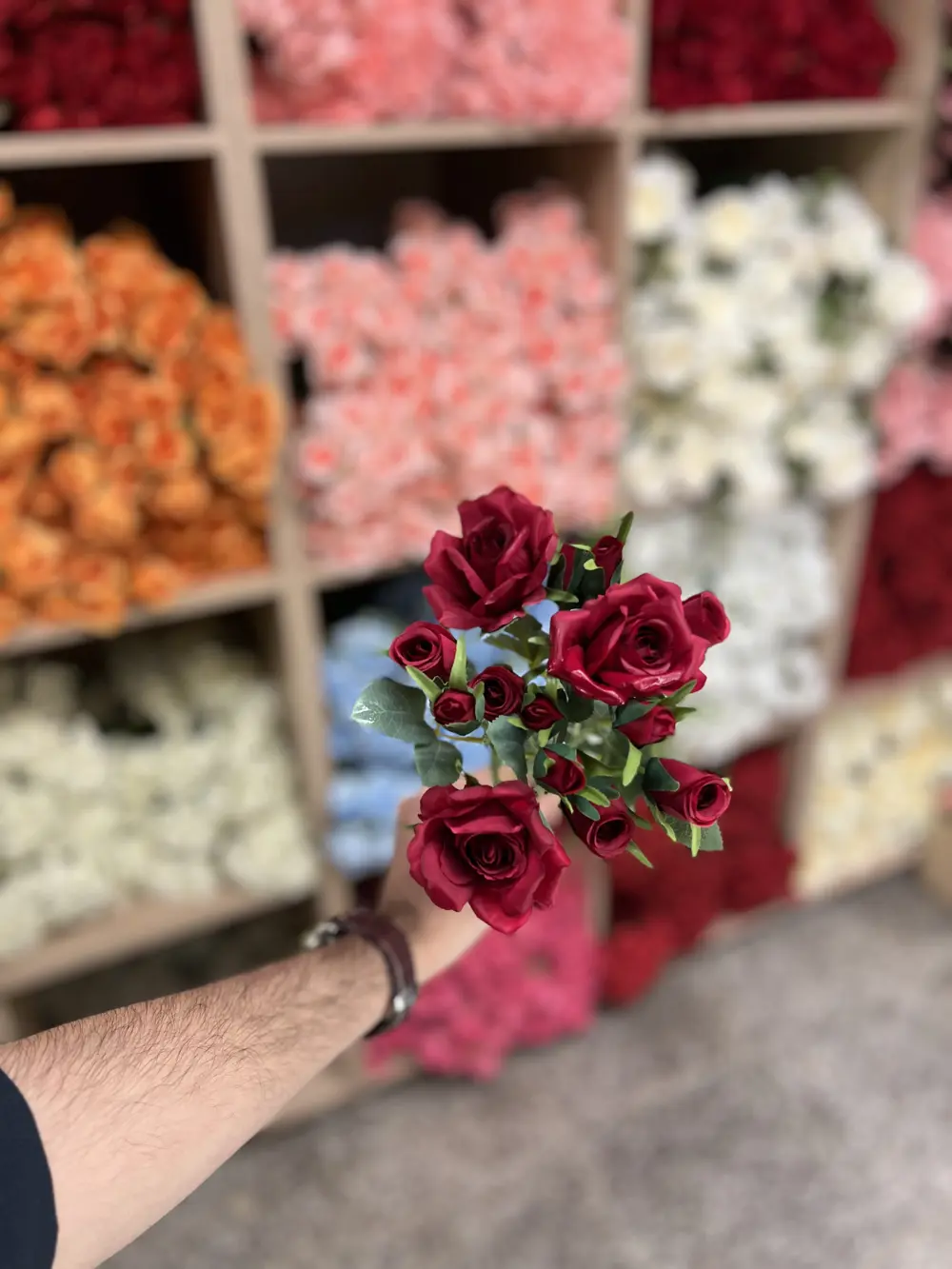 بيبي روز ٣ غصن  ماروني