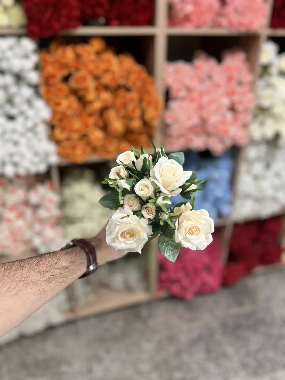 بيبي روز ٣ غصن  اوف وايت درجة 2