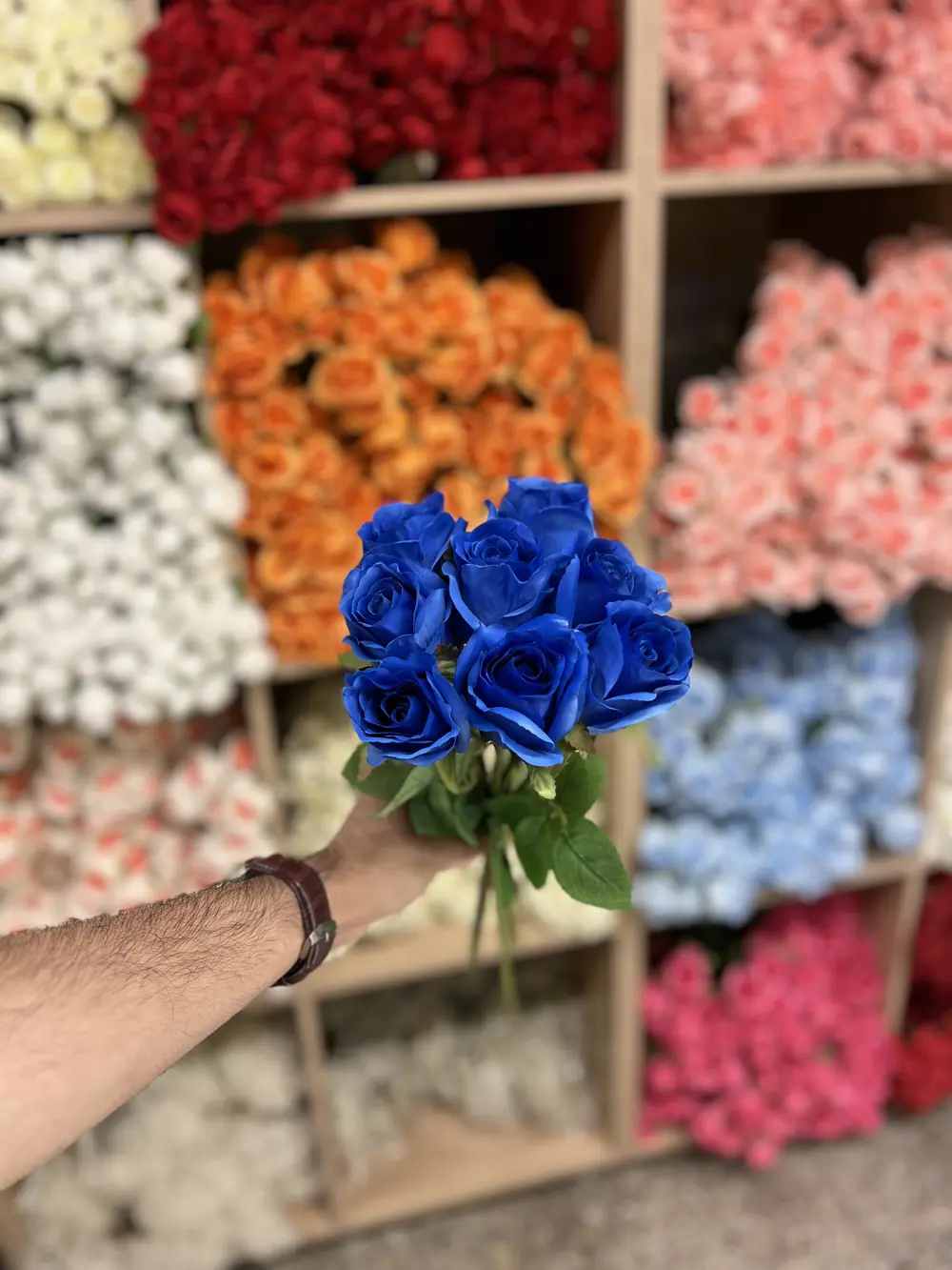 جوري صونده ٨ ورده چويتي