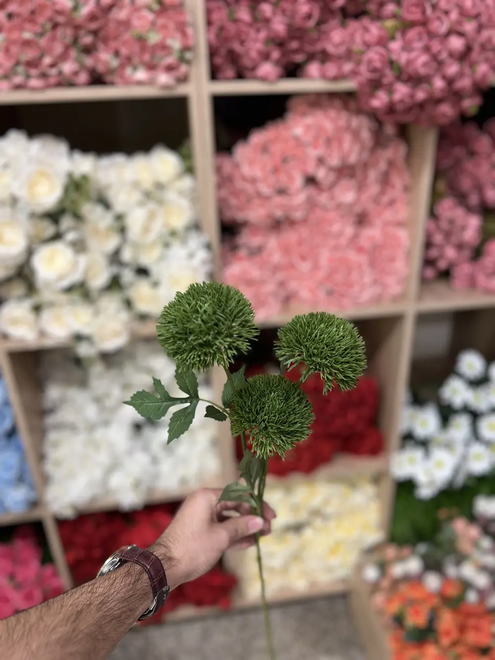جنبده خضره