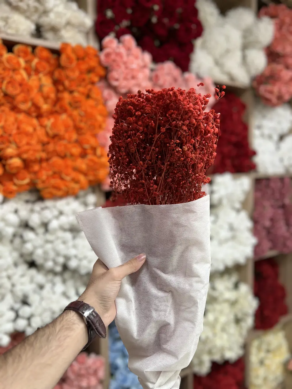 جبسوفيل طبيعي مجفف 120 غرام / احمر