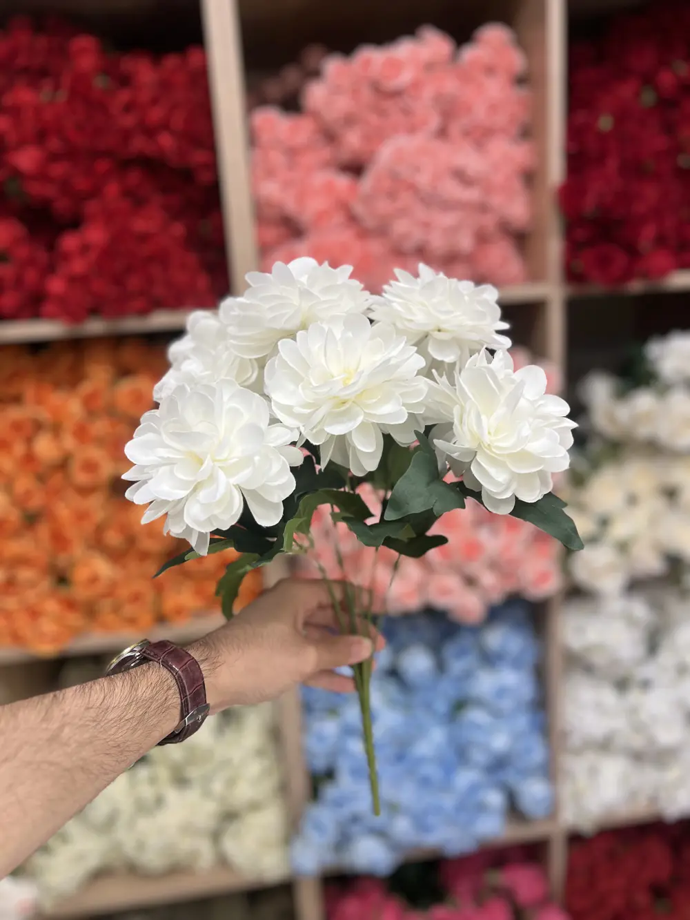 ورد طبقات اوف وايت