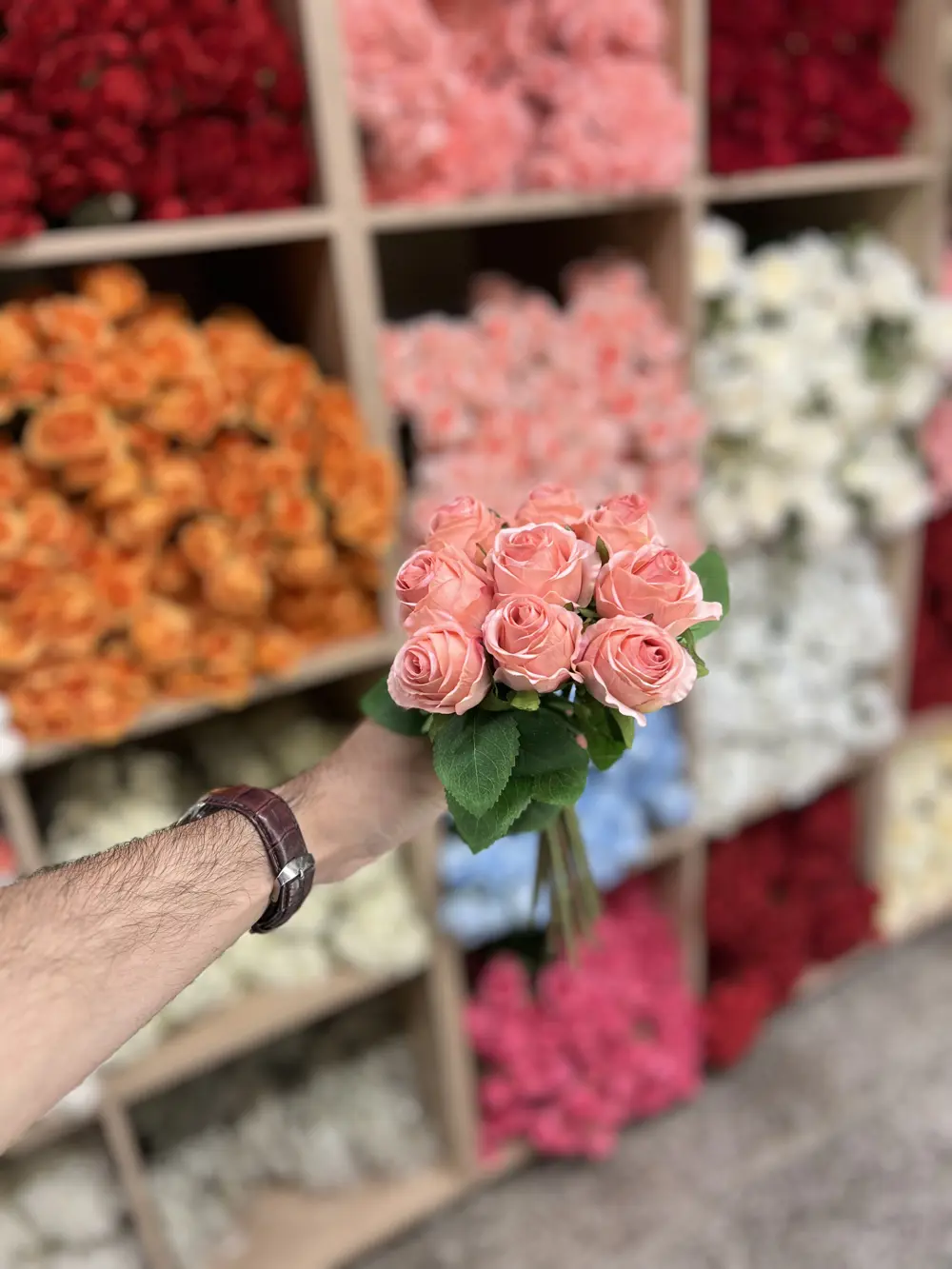 بيبي روز ٩ ورده بصلي