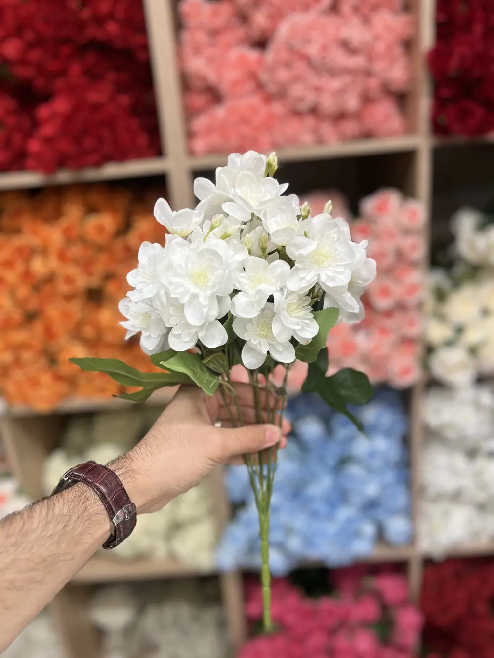 مسكة شبوي 