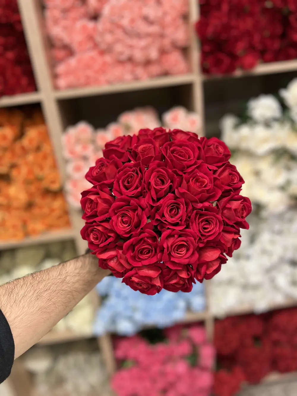 جوري قديفة